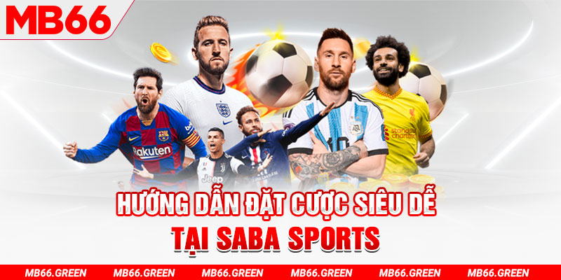 sao win trực tiếp gà chọi c1
