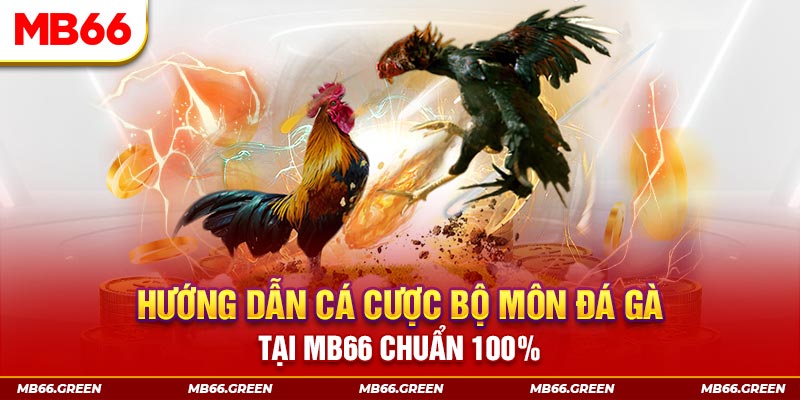 sao win slot là gi