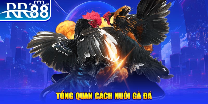 sao win game nổ hũ rút tiền mặt là gì