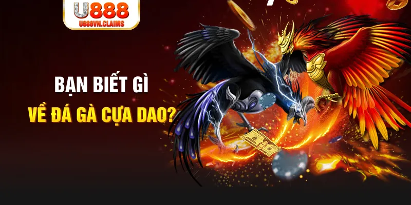 sao win SW Xổ Số