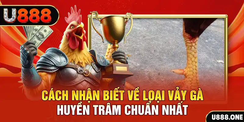 sao win đăng nhập nổ hũ số 1