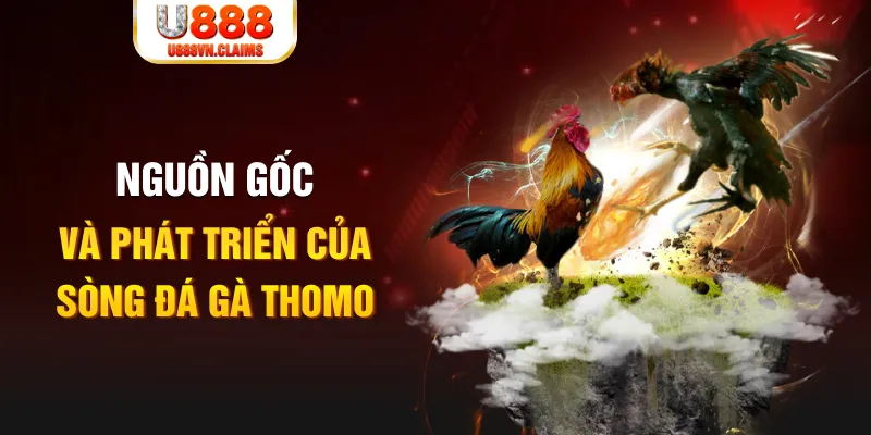 sao win baccarat online la gì