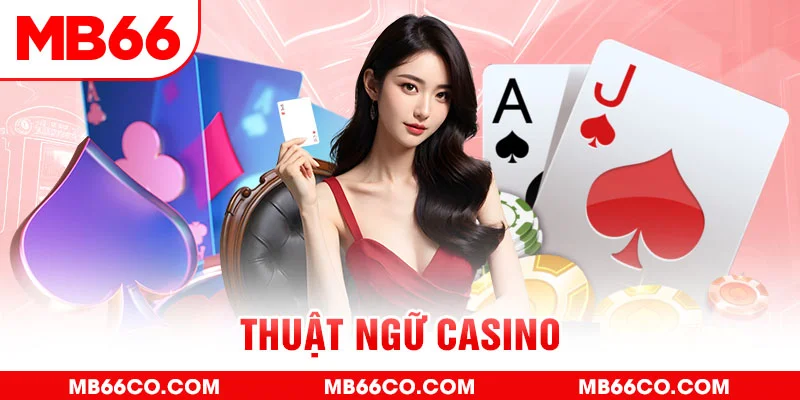 sao win gà chọi c1 mới nhất