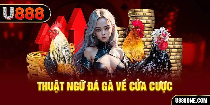 hơn cả bạn bè