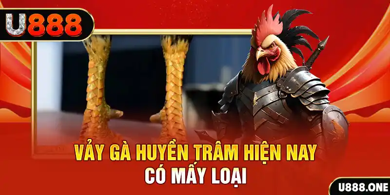 sao win xổ số bình định