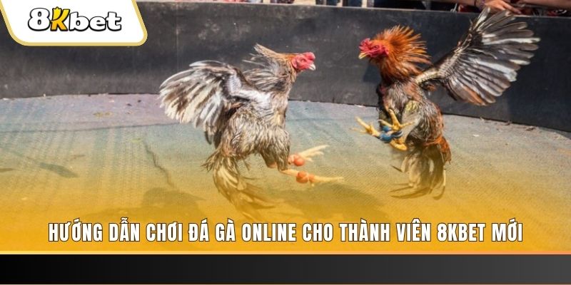 sao win JILI Game Bài 3d
