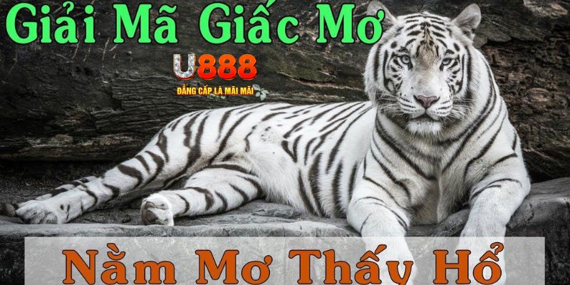 sao win xổ số miền bắc xổ số miền bắc