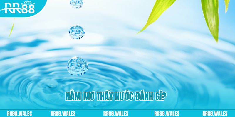sao win TCG Xổ Số