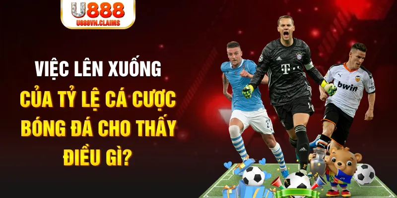sao win xổ số tiền giang