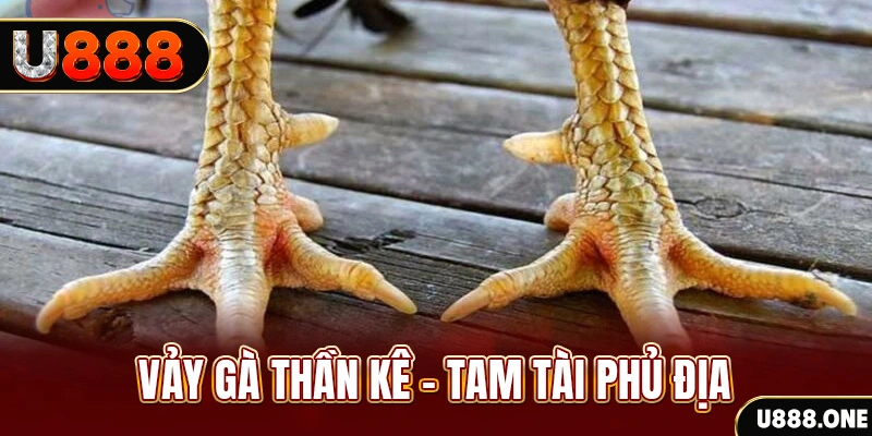 sao win xổ số miền trung thứ hai hàng tuần