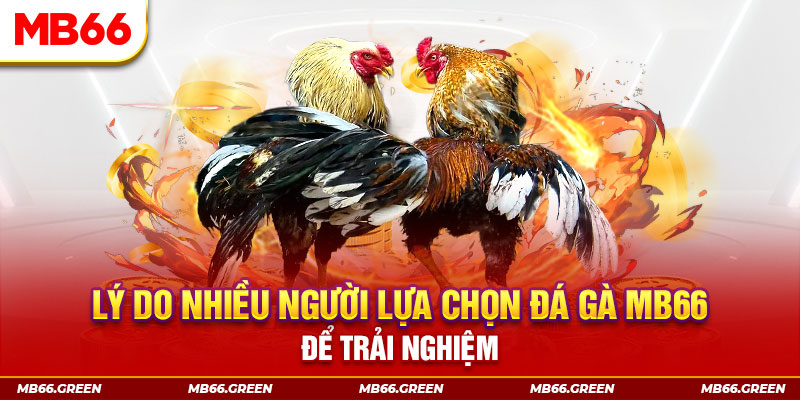 sao win đăng nhập liêng trực tiếp