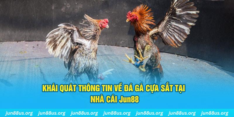sao win xổ số miền bắc thứ bảy hàng tuần