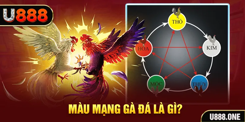 sao win xổ số miền trung thứ tư hàng tuần