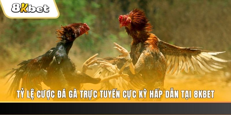 sao win đăng nhập mậu binh online