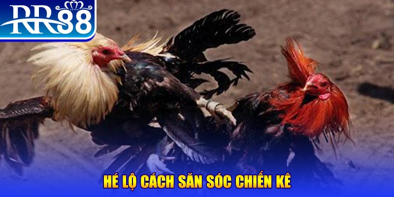 sao win xổ số miền trung thứ tư