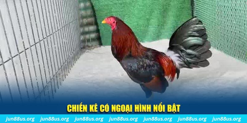 sao win game bắn cá