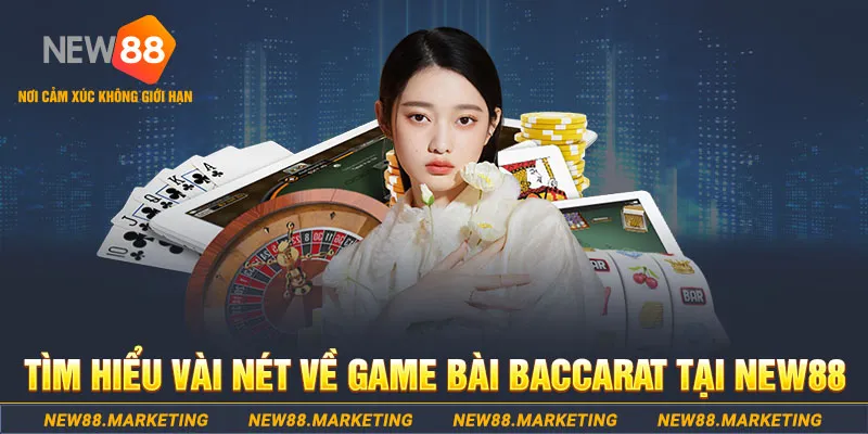 sao win gà chọi c1 ô taxi