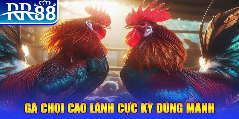 sao win HB Điện Tử