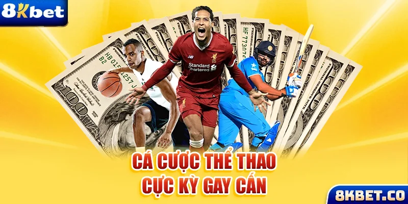 sao win xem đá gà trực tiếp